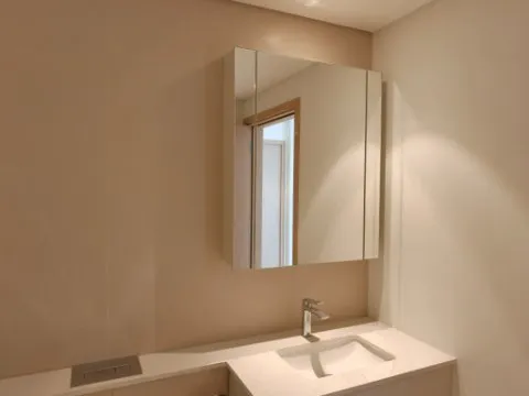 Bathroom vanity and mirror cabinet